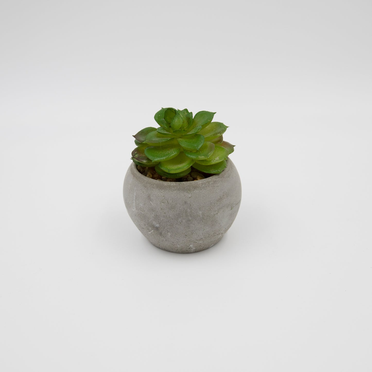 Kunstpflanzen Sukkulente mit Dekotopf Grau 8,5x6,5x9 cm