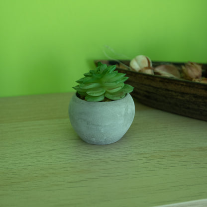 Kunstpflanzen Sukkulente mit Dekotopf Grau 8,5x6,5x9 cm
