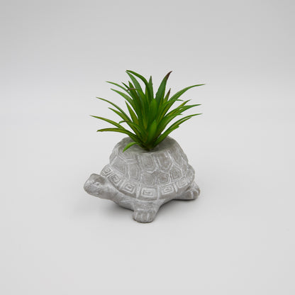 Kunstpflanzen Sukkulente mit Dekotopf Grau 8,5x6,5x9 cm